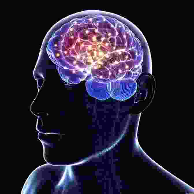 A Brain Scan Depicting Neural Activity During A Cognitive Task Trauma And Cognitive Science: A Meeting Of Minds Science And Human Experience