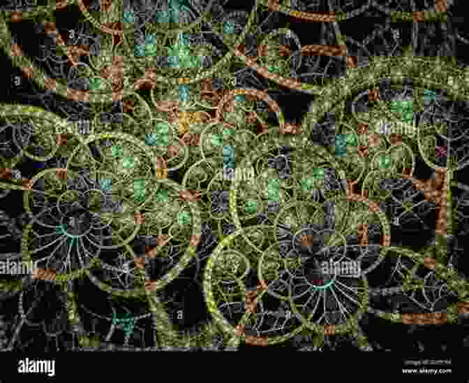 A Complex Fractal Flame With Intricate Details And A Wide Range Of Colors Fractal Flames Color Buffet John Pirillo