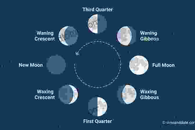 A Diagram Illustrating The Eight Phases Of The Moon. The Moon Changes Shape (Tell Me Why Library)