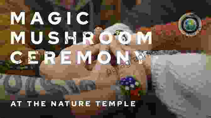 A Group Of People Gathered In A Circle For A Magic Mushroom Ceremony Shamanic Plant Medicine Magic Mushrooms: The Holy Children