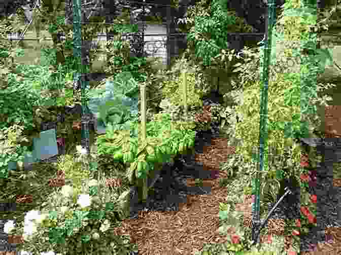 A Lush And Vibrant Straw Bale Garden, Adorned With Abundant Vegetables And Flowers Straw Bale Gardening Joel Karsten