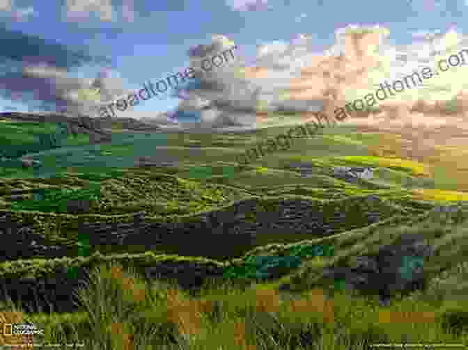 A Panoramic View Of The Rolling Hills Of Ireland, With Vibrant Wildflowers Painting The Landscape In A Myriad Of Colors The Brightness Of Summer (A Celtic Land 3)