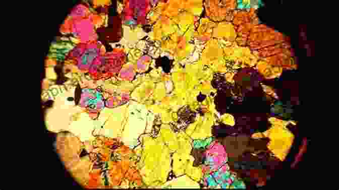 A Petrologist Meticulously Examining A Rock Sample Under A Microscope Principles Of Igneous And Metamorphic Petrology (2 Downloads)