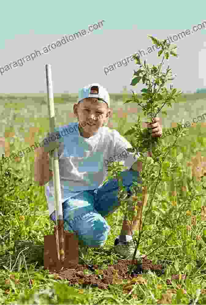 A Young Boy Planting A Tree Who Will Plant A Tree?