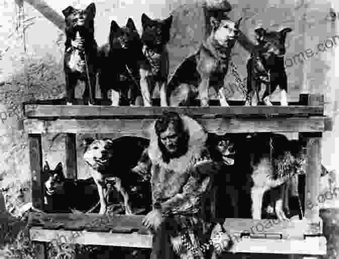 Balto The Brave, A Siberian Husky, Was The Lead Dog On The 1925 Serum Run To Nome, Alaska. Polar Dogs: Dreams Of Being On Top Of The World (Dog Tales)