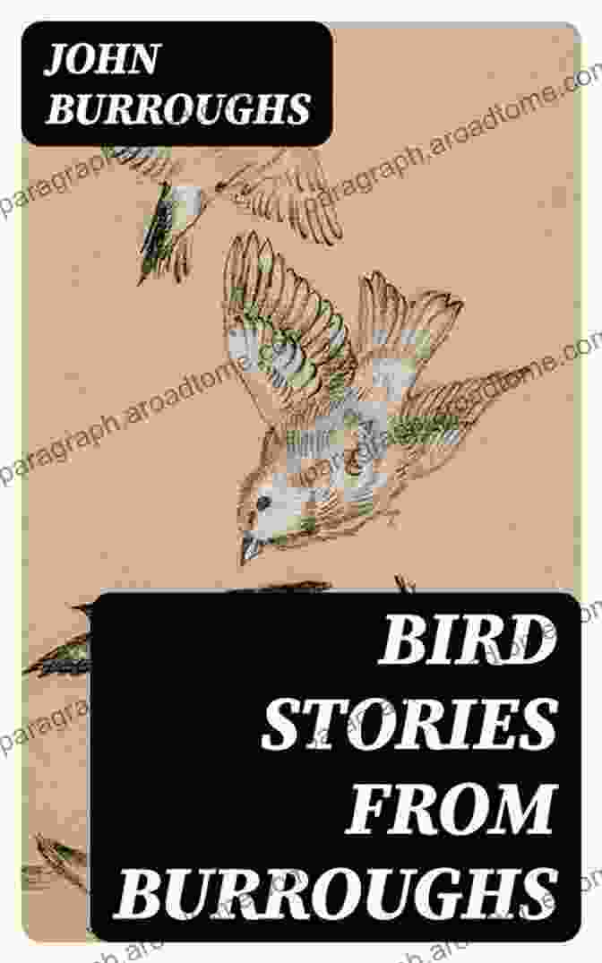 Bird Stories From Burroughs Book Cover Bird Stories From Burroughs Sketches Of Bird Life Taken From The Works Of John Burroughs