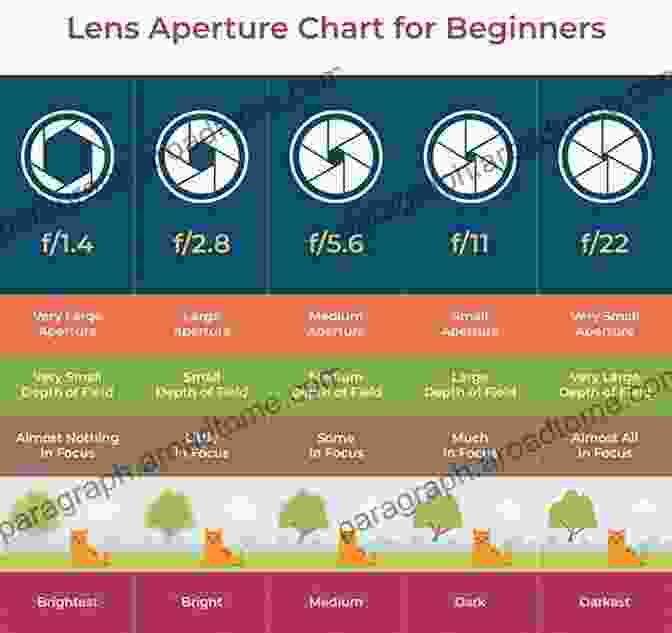 Camera Settings Diagram Best Of The Digital Photography The: The Step By Step Secrets For How To Make Your Photos Look Like The Pros