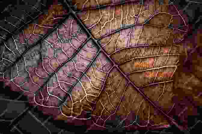 Close Up Of A Green Leaf, Revealing Intricate Veins And Delicate Textures Amazing Color Green Johanna Sparrow