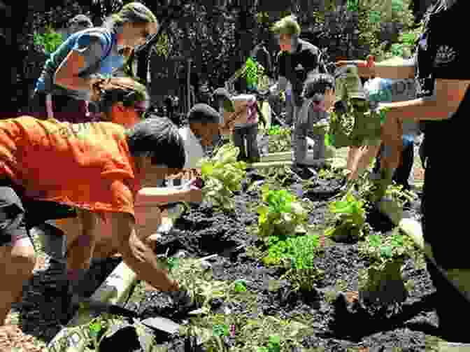 Community Garden With People Working Together To Grow Organic Vegetables How To Save The World For Free: (Guide To Green Living Sustainability Handbook)