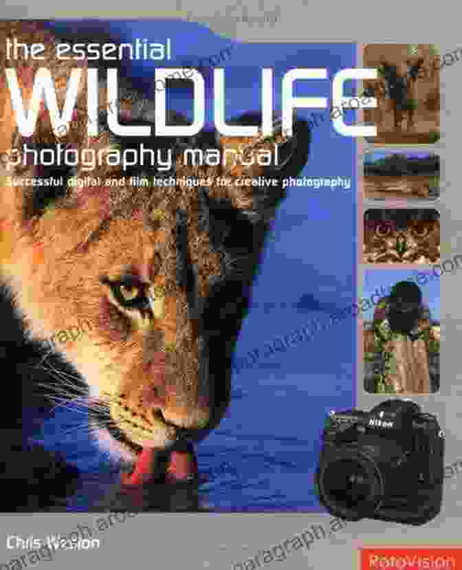 Cover Of 'The Wildlife Photographer Field Manual' Featuring A Stunning Image Of A Lion Against A Golden Sunset. The Wildlife Photographer S Field Manual