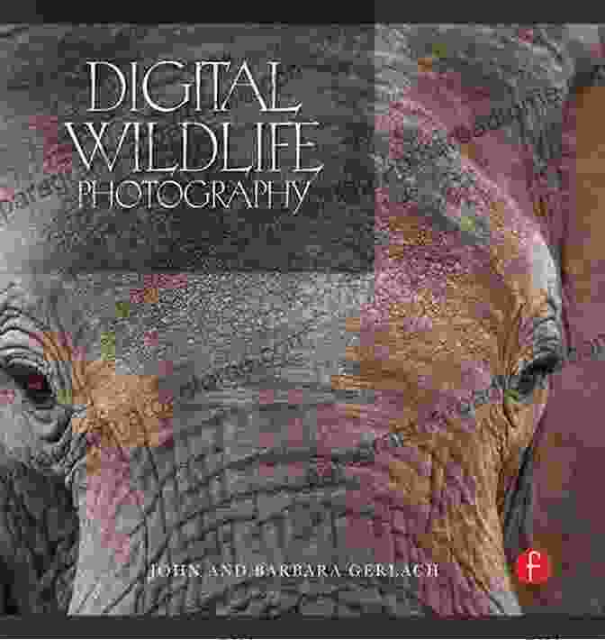 Digital Wildlife Photography By John Gerlach Digital Wildlife Photography John Gerlach