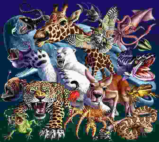 Encyclopedia Of The Strangest Animals Cover Showcasing A Montage Of Peculiar Creatures Against A Vibrant Background Encyclopedia Of The Strangest Animals 1