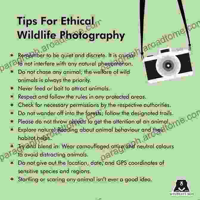 Ethics In Digital Wildlife Photography Digital Wildlife Photography John Gerlach