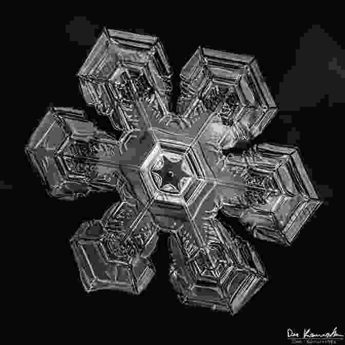 Fractal Image Resembling A Delicate Snowflake With Intricate Crystalline Structures Fractal Flames White Vertical Collection Volume Twelve: Another Spectacular 100 Mesmerizing Images Drawn From The Universe Of Fractal Flames Which Is Filled With Awesome Textures And Colors