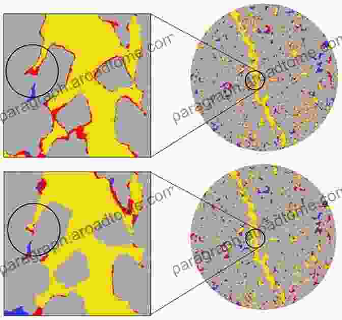 Fractured Porous Media Fractured Porous Media Pierre M Adler