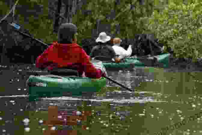 Kayaking Through Pristine Waters Of Bella Bella Aaron Wilderness Bella Bella (Aaron S Wilderness 2)