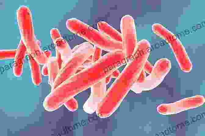 Microscope Image Of Tuberculosis Bacteria Catching Breath: The Making And Unmaking Of Tuberculosis (Bloomsbury Sigma)