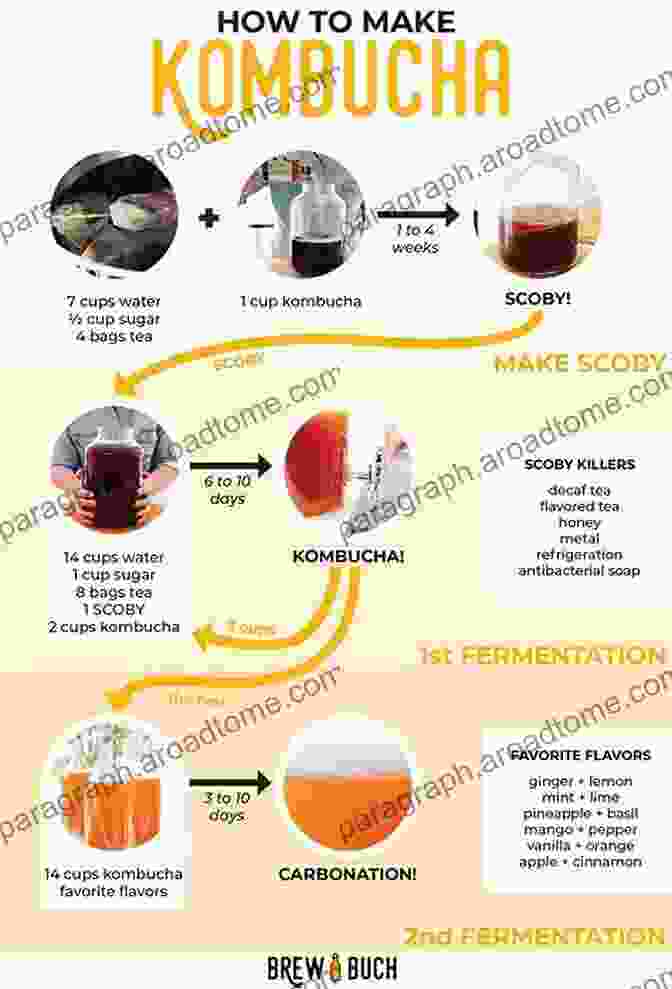 Step By Step Guide To Fermentation Process Microbiology And Technology Of Fermented Foods (Institute Of Food Technologists Series)