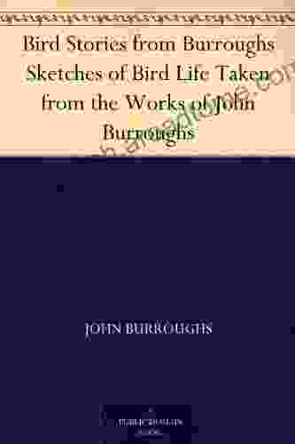 Bird Stories from Burroughs Sketches of Bird Life Taken from the Works of John Burroughs