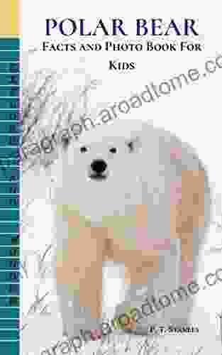 Polar Bear: Facts And Photo For Kids: Arctic Animal Children Photo (Beginner 1)