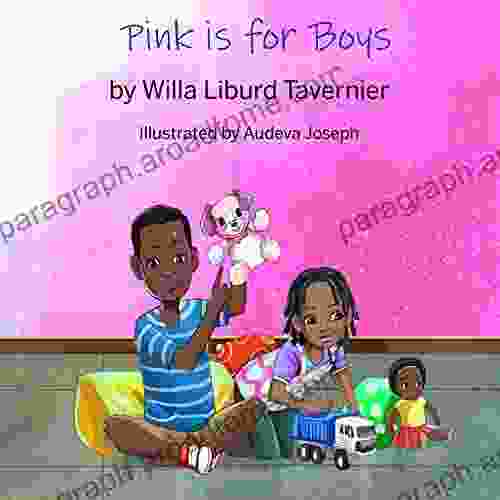 Pink Is For Boys Joan W Blos