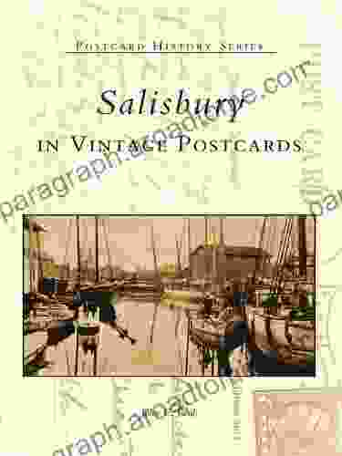 Salisbury in Vintage Postcards (Postcard History)