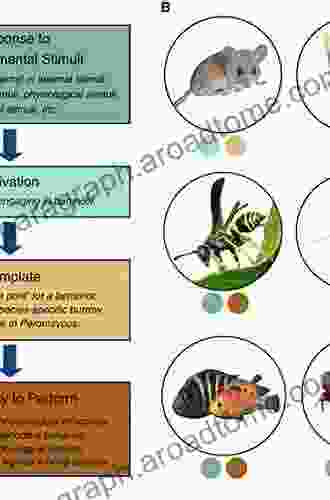 The Parental Brain: Mechanisms Development and Evolution