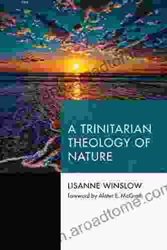 A Trinitarian Theology Of Nature (Princeton Theological Monograph 244)