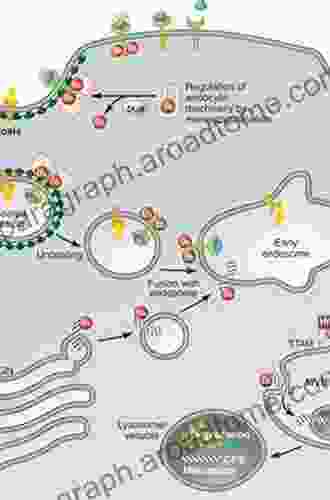 Ubiquitination And Transmembrane Signaling (ISSN 141)