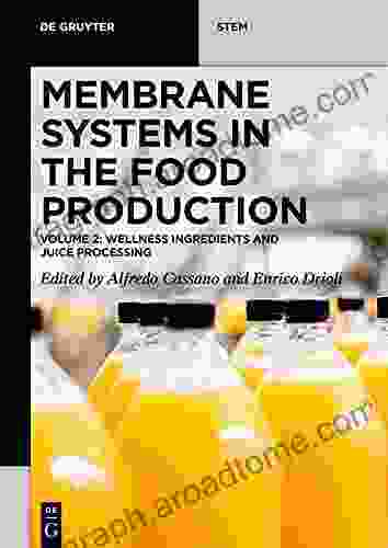 Membrane Systems In The Food Production: Volume 2: Wellness Ingredients And Juice Processing (De Gruyter STEM)