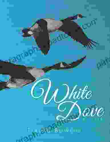 White Dove: Volume 2 Amanda Lamb